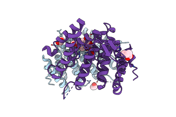 6EMF image