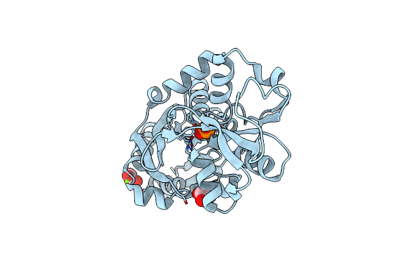 6EMN image