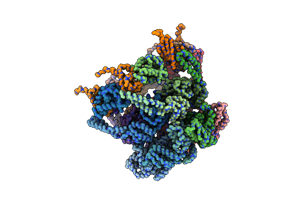 6EMW image