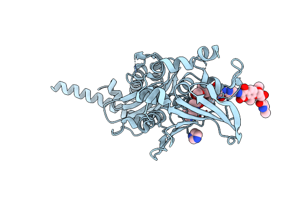 6ENH image