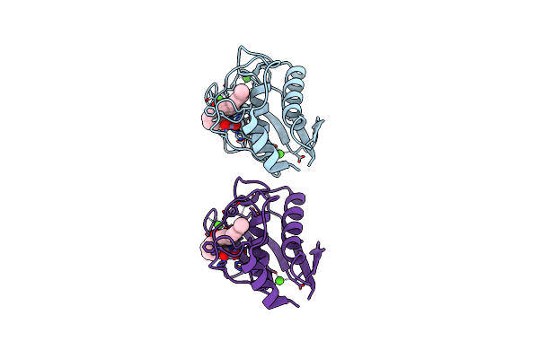 6ENM image