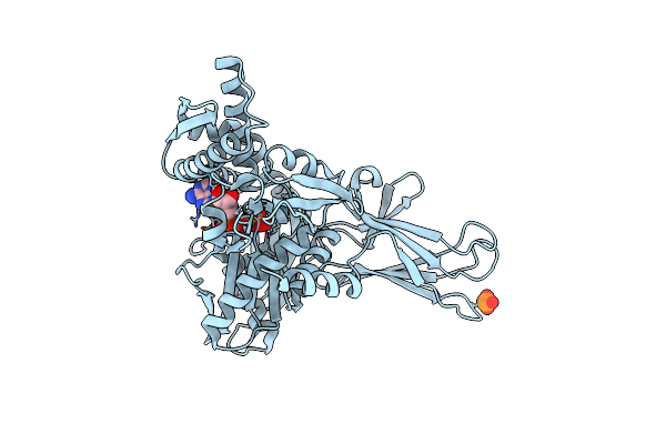6EOF image