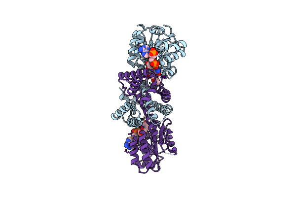 6EOH image