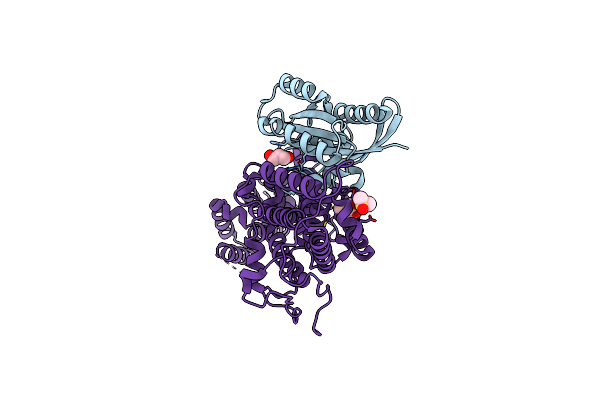 6EPN image