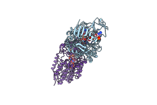 6ERA image