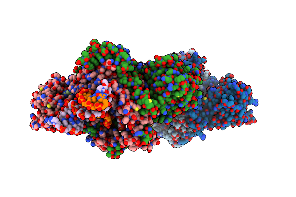 6ERG image