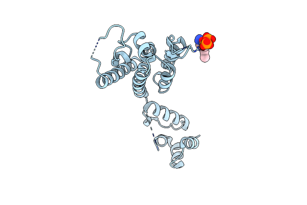 6ERM image