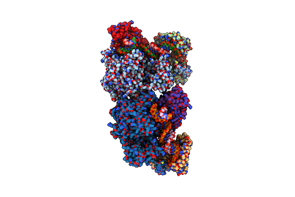 6ERP image