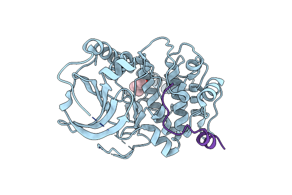 6ERV image