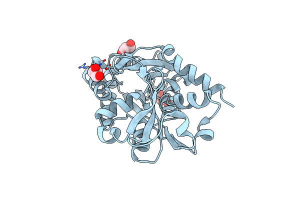 6ESK image