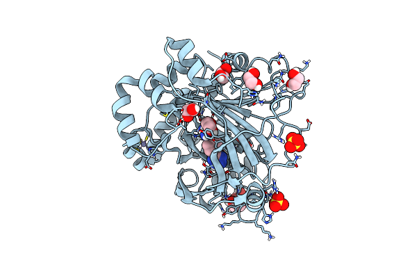6ETG image
