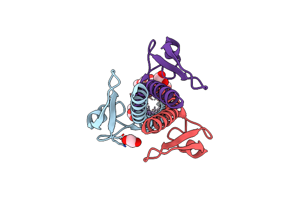 6EUP image