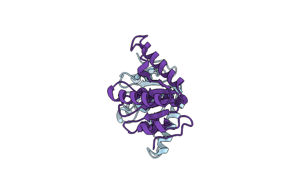 6EVS image
