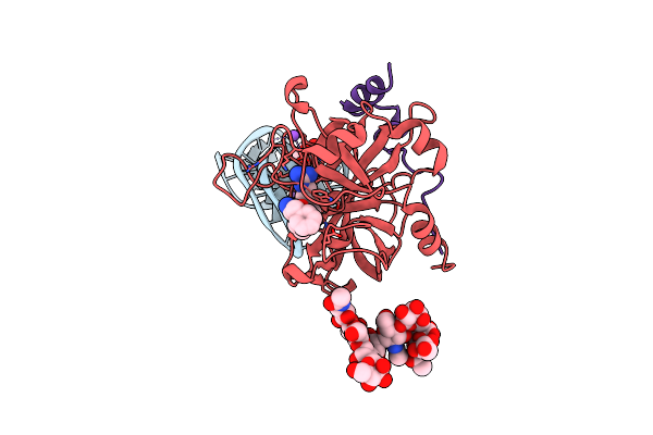 6EVV image