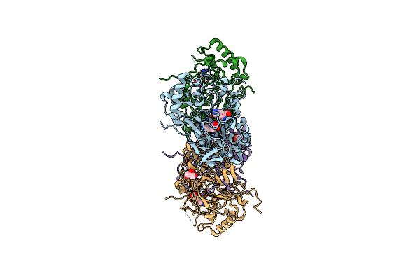 6EXF image