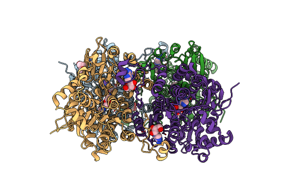 6EXI image