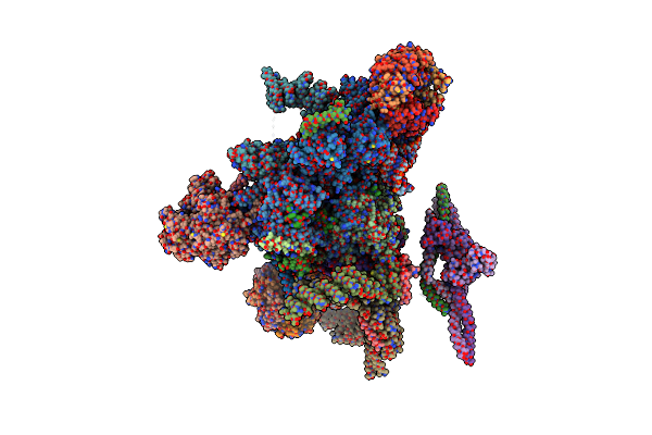 6EXN image