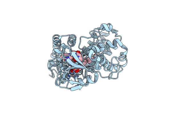 6F0B image