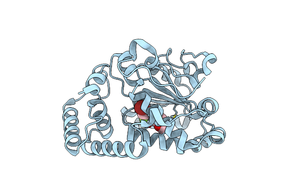 6F0E image