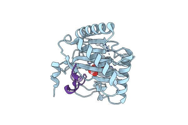 6F0W image