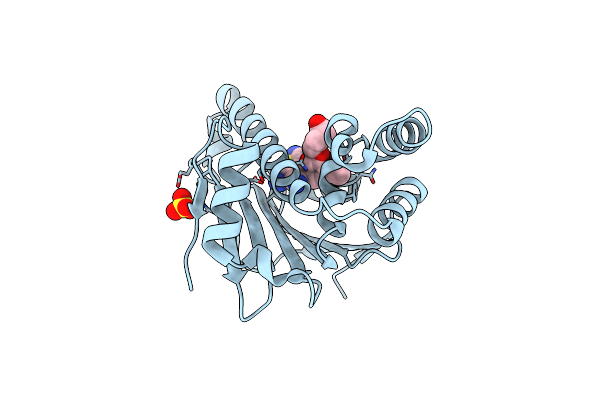 6F1N image