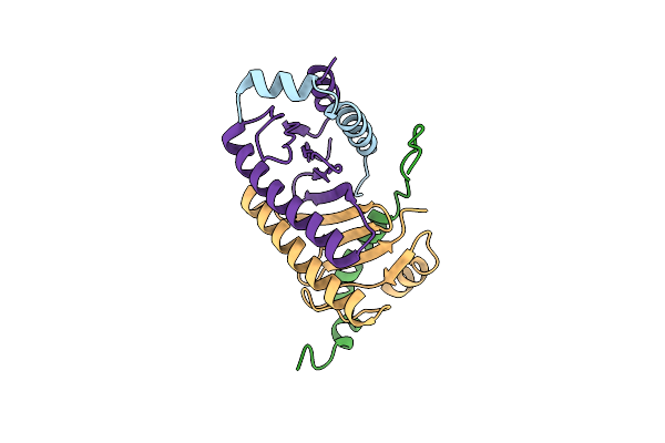6F1Z image