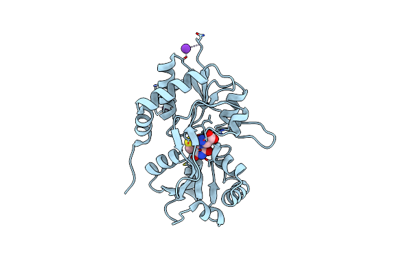 6F29 image