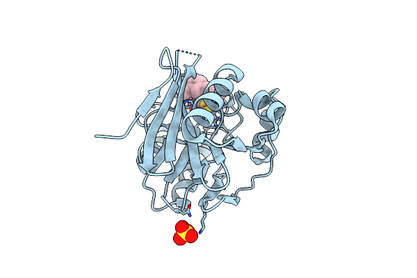6F2N image