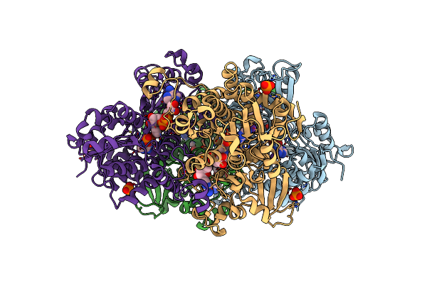 6F3O image