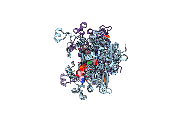 6F3P image