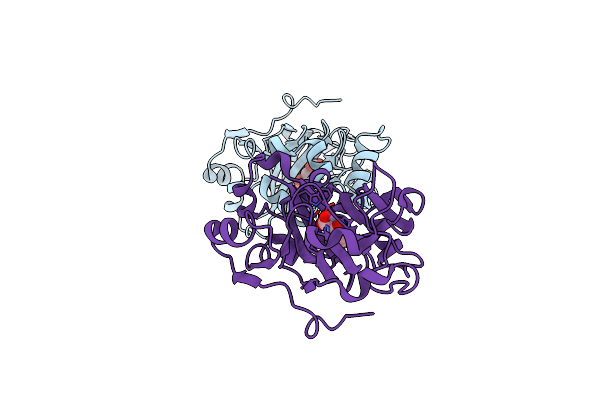 6F4N image