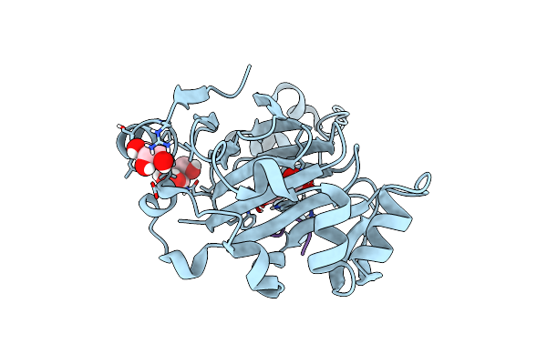 6F4S image