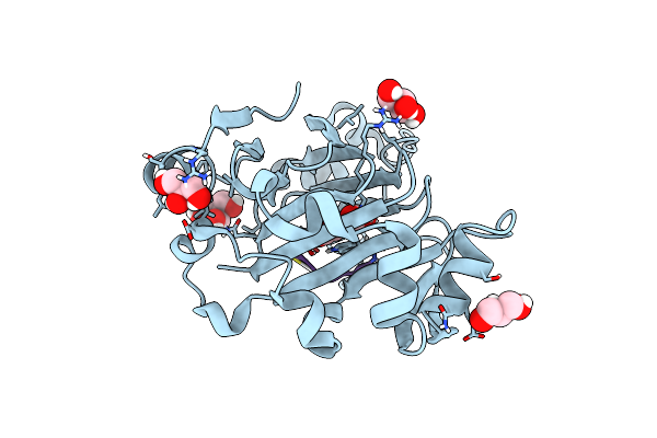 6F4T image