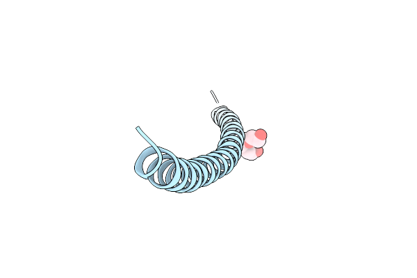 6F5X image