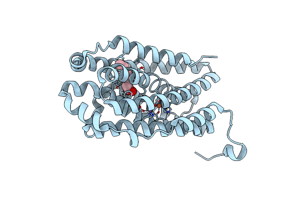 6F65 image