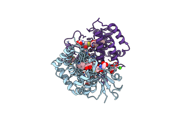 6F66 image