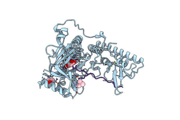 6F6D image