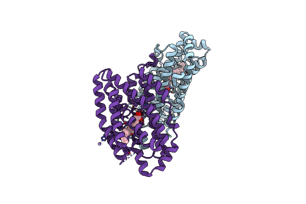 6F6H image