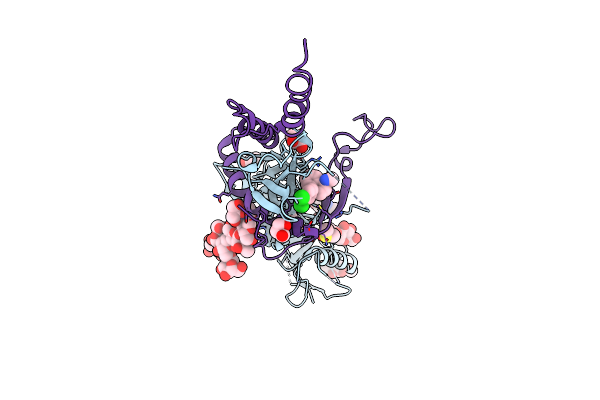 6F6N image