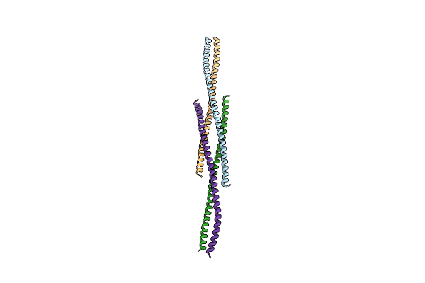 6F6P image