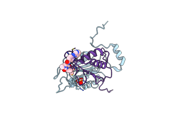 6F6R image