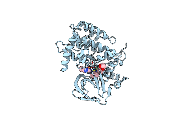 6F7B image