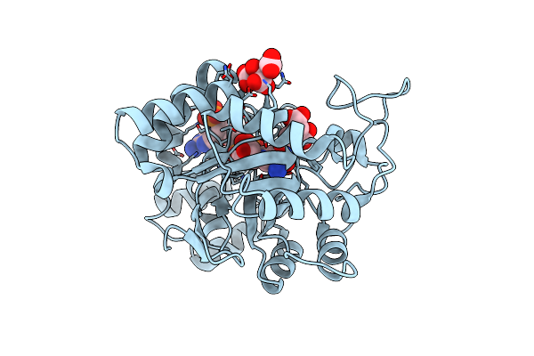 6F81 image