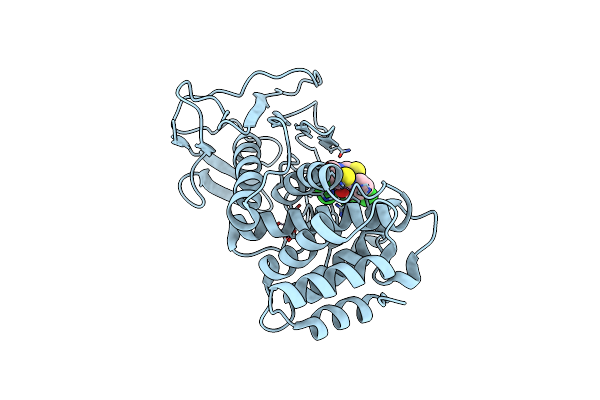 6F8B image
