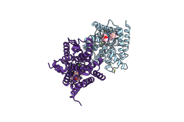 6F8T image