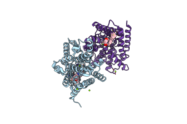 6F8W image