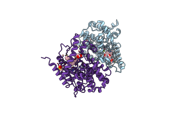 6F8X image
