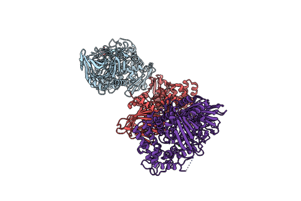 6F8Z image