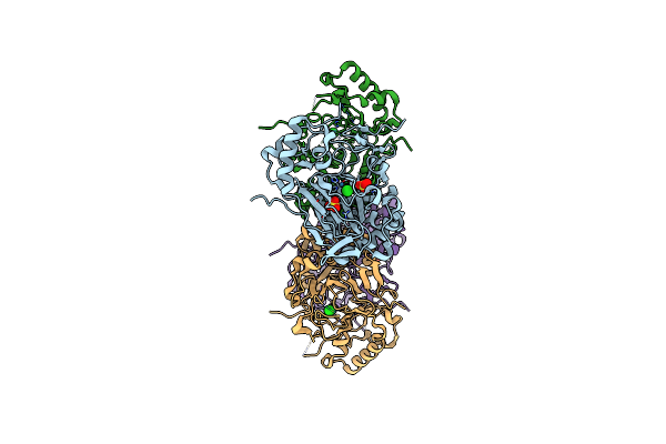 6F9P image