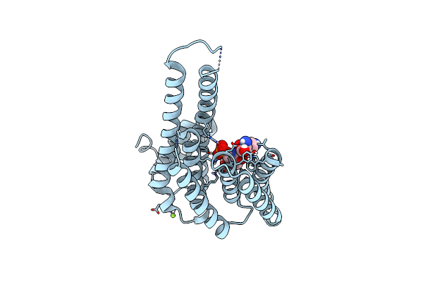 6FBB image